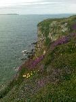 Cliffs above the Salmon station